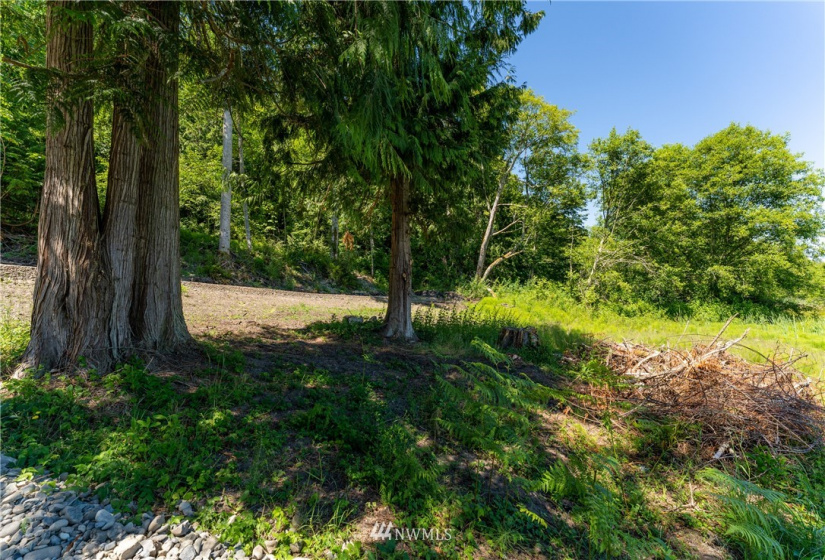 9999 Maple Creek, Sequim, Washington 98382, ,Land,For Sale,Maple Creek,NWM1819854