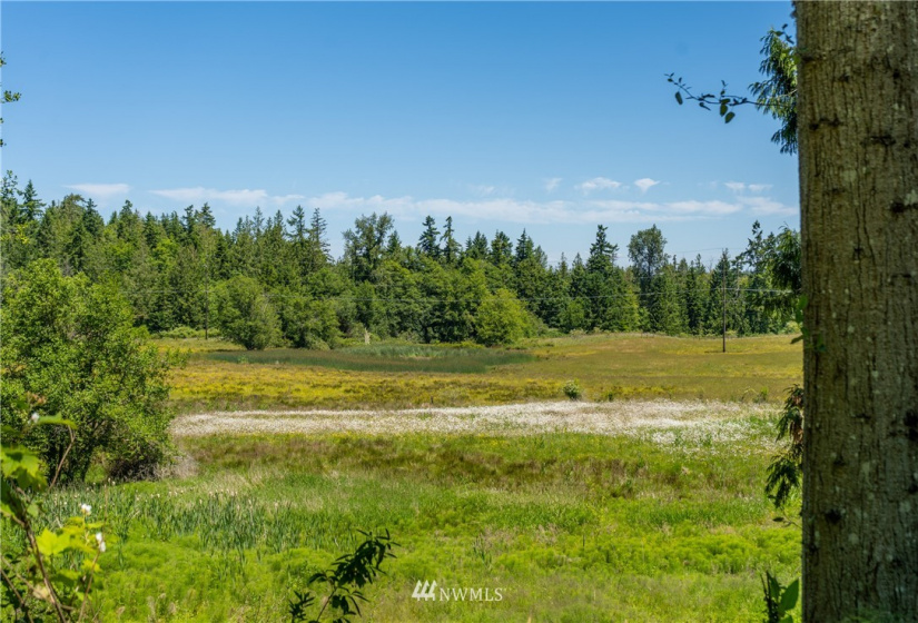 9999 Maple Creek, Sequim, Washington 98382, ,Land,For Sale,Maple Creek,NWM1819854