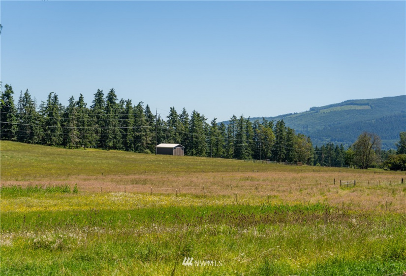 9999 Maple Creek, Sequim, Washington 98382, ,Land,For Sale,Maple Creek,NWM1819854