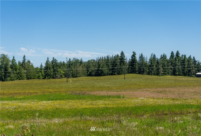 9999 Maple Creek, Sequim, Washington 98382, ,Land,For Sale,Maple Creek,NWM1819854
