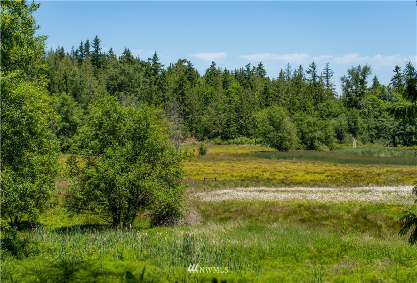 9999 Maple Creek, Sequim, Washington 98382, ,Land,For Sale,Maple Creek,NWM1819854