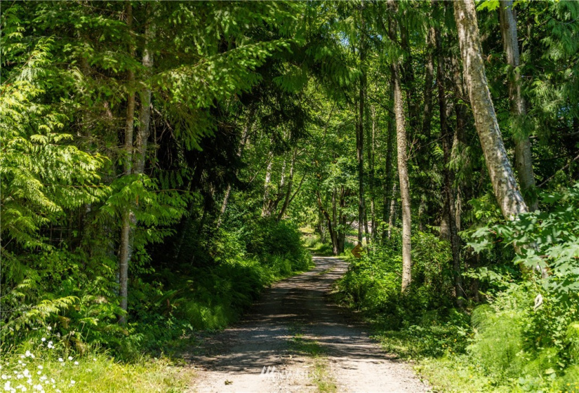 9999 Maple Creek, Sequim, Washington 98382, ,Land,For Sale,Maple Creek,NWM1819854