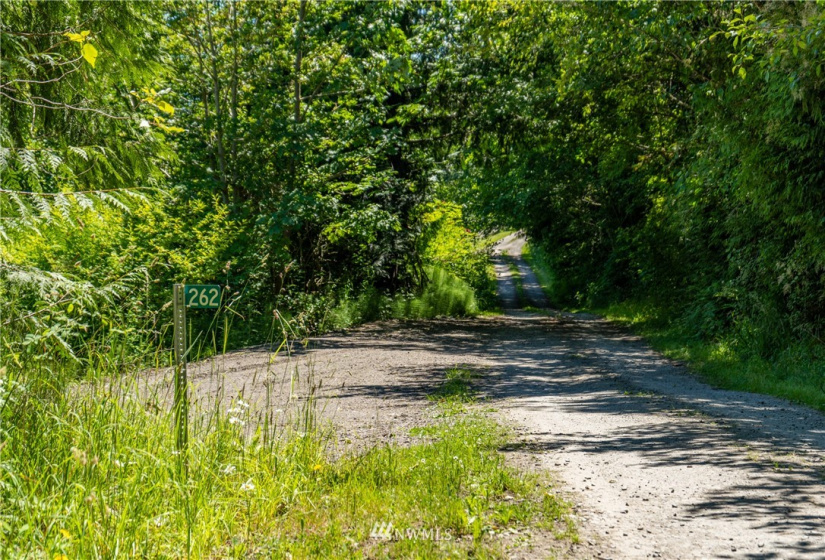 9999 Maple Creek, Sequim, Washington 98382, ,Land,For Sale,Maple Creek,NWM1819854
