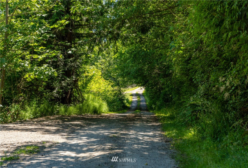 9999 Maple Creek, Sequim, Washington 98382, ,Land,For Sale,Maple Creek,NWM1819854