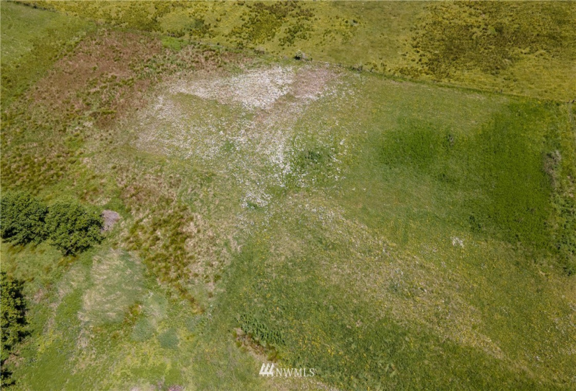 9999 Maple Creek, Sequim, Washington 98382, ,Land,For Sale,Maple Creek,NWM1819854