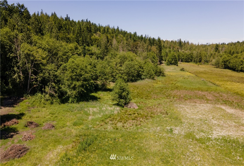 9999 Maple Creek, Sequim, Washington 98382, ,Land,For Sale,Maple Creek,NWM1819854