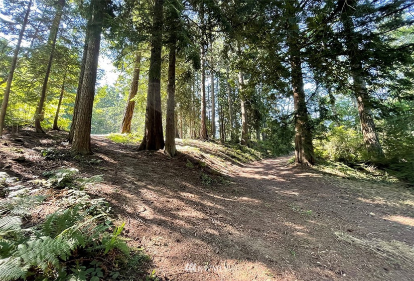 24796 Taka, Kingston, Washington 98346, ,Land,For Sale,Taka,NWM1820252