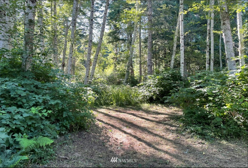 24796 Taka, Kingston, Washington 98346, ,Land,For Sale,Taka,NWM1820252