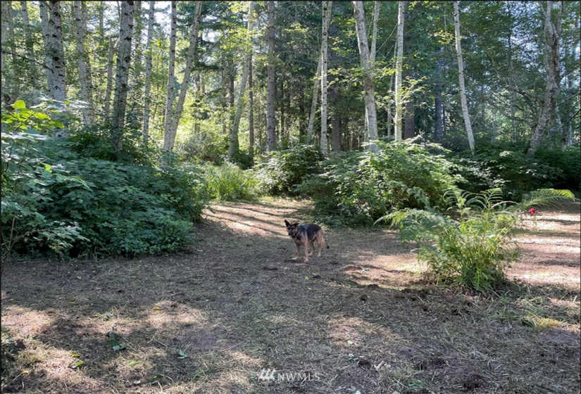 24796 Taka, Kingston, Washington 98346, ,Land,For Sale,Taka,NWM1820252