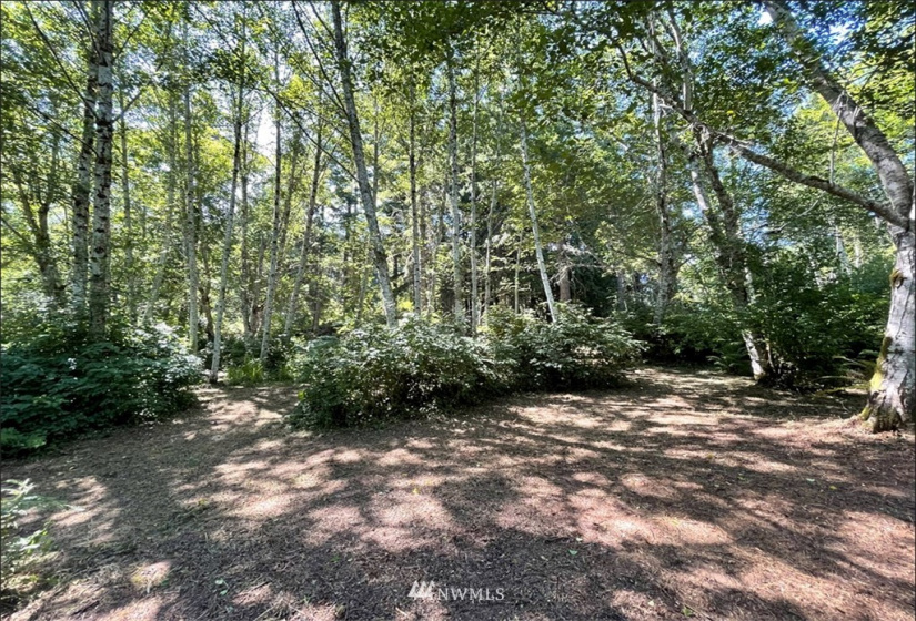 24796 Taka, Kingston, Washington 98346, ,Land,For Sale,Taka,NWM1820252