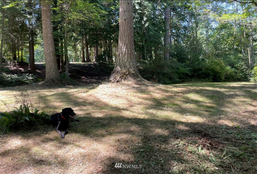 24796 Taka, Kingston, Washington 98346, ,Land,For Sale,Taka,NWM1820252