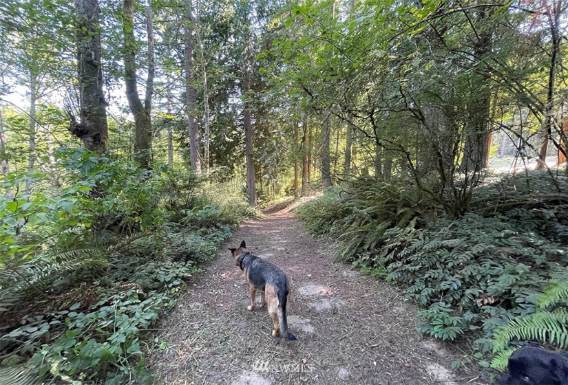 24796 Taka, Kingston, Washington 98346, ,Land,For Sale,Taka,NWM1820252