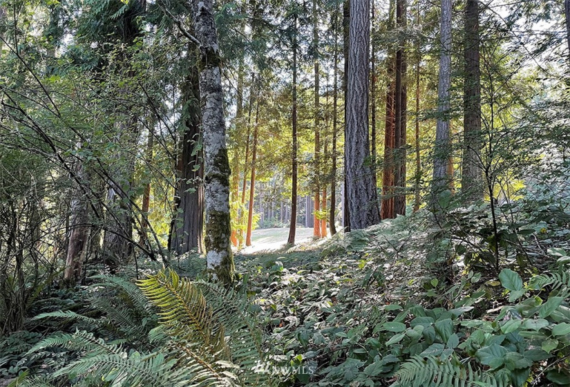 24796 Taka, Kingston, Washington 98346, ,Land,For Sale,Taka,NWM1820252