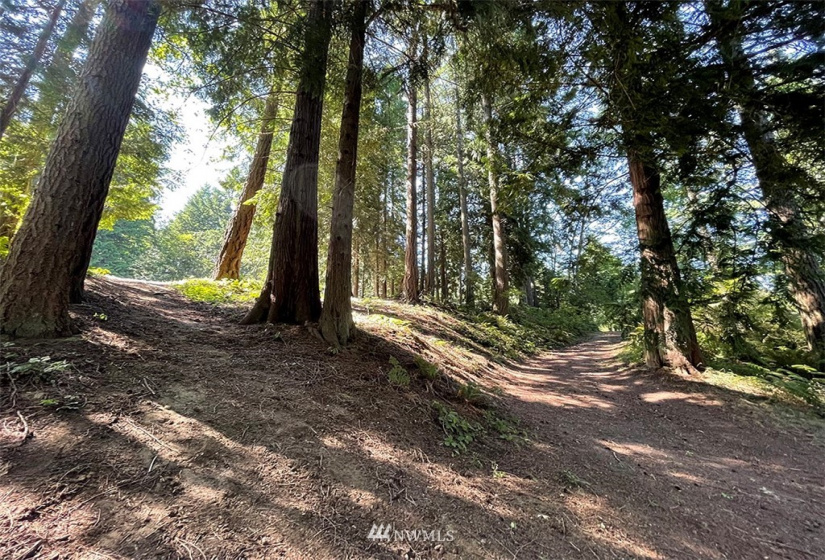 24796 Taka, Kingston, Washington 98346, ,Land,For Sale,Taka,NWM1820252