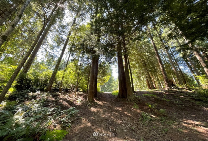 24796 Taka, Kingston, Washington 98346, ,Land,For Sale,Taka,NWM1820252