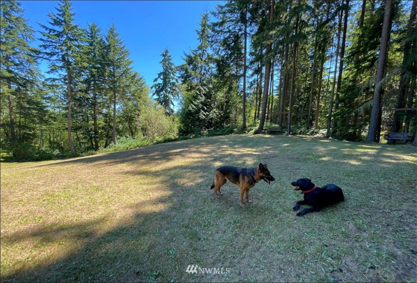 24796 Taka, Kingston, Washington 98346, ,Land,For Sale,Taka,NWM1820252