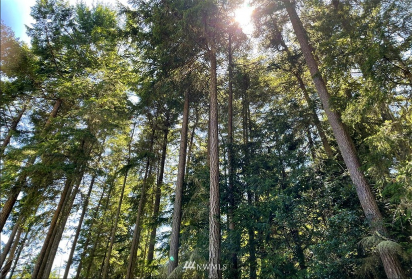 24796 Taka, Kingston, Washington 98346, ,Land,For Sale,Taka,NWM1820252