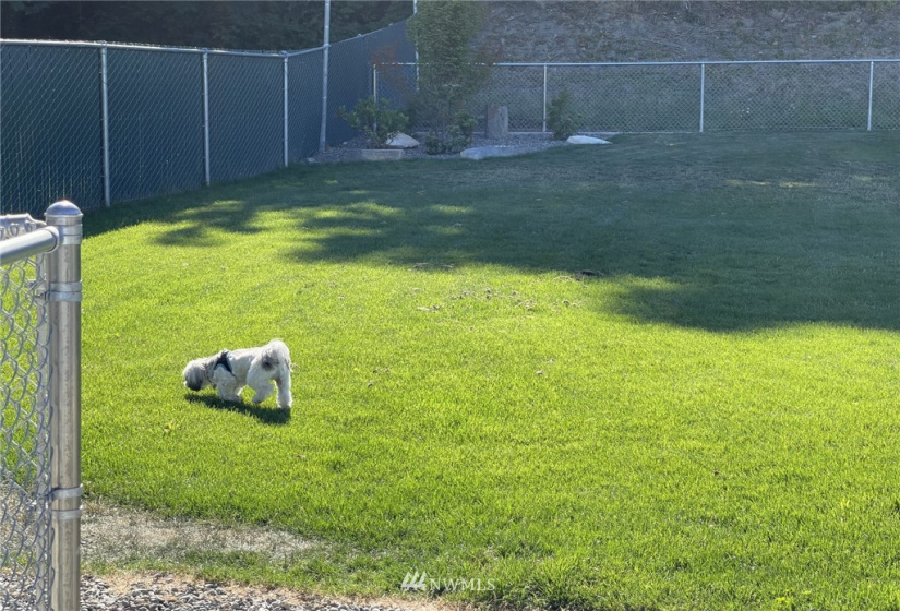 2101 324th, Federal Way, Washington 98003, 2 Bedrooms Bedrooms, ,1 BathroomBathrooms,Residential,For Sale,324th,NWM1818856