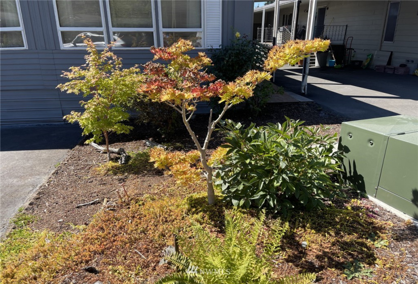 2101 324th, Federal Way, Washington 98003, 2 Bedrooms Bedrooms, ,1 BathroomBathrooms,Residential,For Sale,324th,NWM1818856