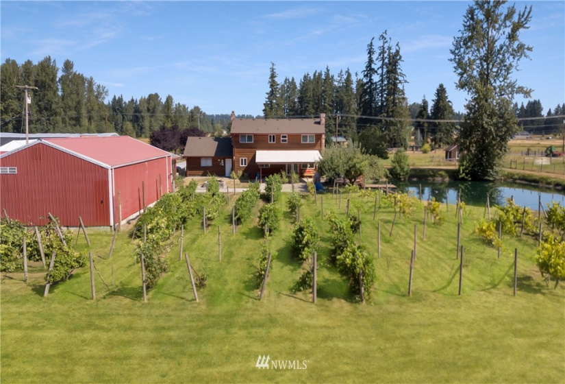 12314 264th, Graham, Washington 98338, 4 Bedrooms Bedrooms, ,1 BathroomBathrooms,Residential,For Sale,264th,NWM1820778