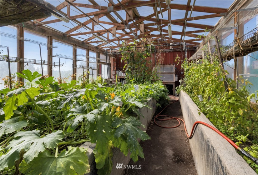 12314 264th, Graham, Washington 98338, 4 Bedrooms Bedrooms, ,1 BathroomBathrooms,Residential,For Sale,264th,NWM1820778