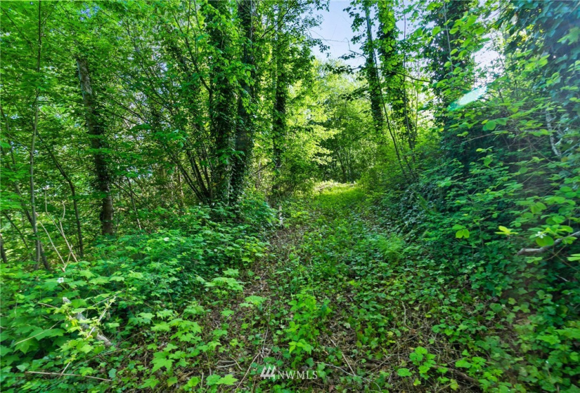 3791 Haxton, Bellingham, Washington 98226, ,Land,For Sale,Haxton,NWM1820921