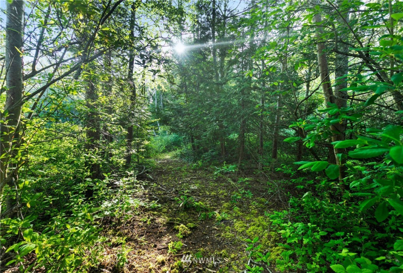 3791 Haxton, Bellingham, Washington 98226, ,Land,For Sale,Haxton,NWM1820921