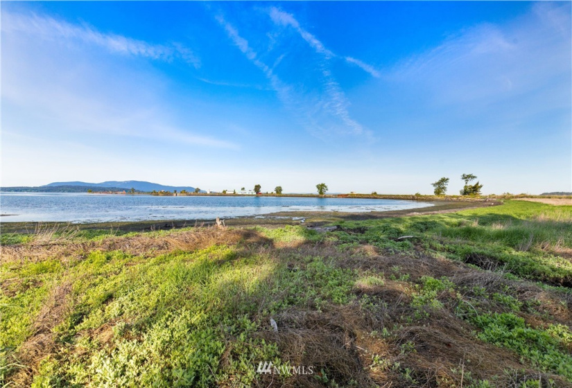 3791 Haxton, Bellingham, Washington 98226, ,Land,For Sale,Haxton,NWM1820921