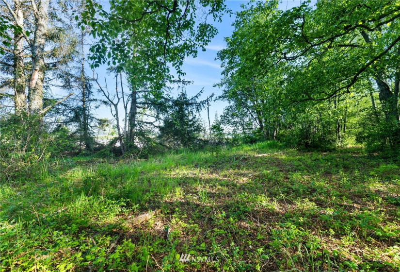 3791 Haxton, Bellingham, Washington 98226, ,Land,For Sale,Haxton,NWM1820921