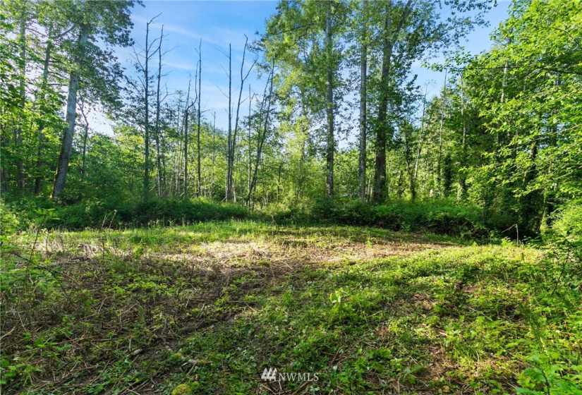 3791 Haxton, Bellingham, Washington 98226, ,Land,For Sale,Haxton,NWM1820921