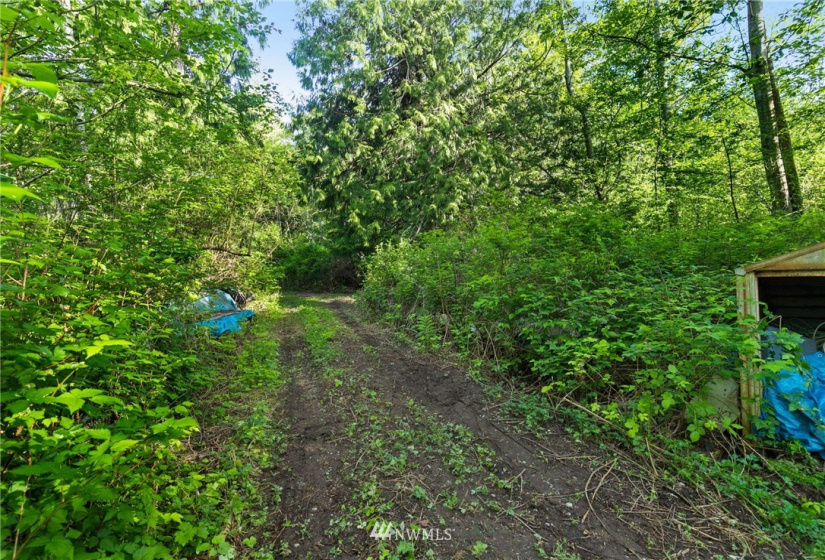 3791 Haxton, Bellingham, Washington 98226, ,Land,For Sale,Haxton,NWM1820921