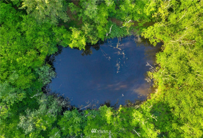 3791 Haxton, Bellingham, Washington 98226, ,Land,For Sale,Haxton,NWM1820921