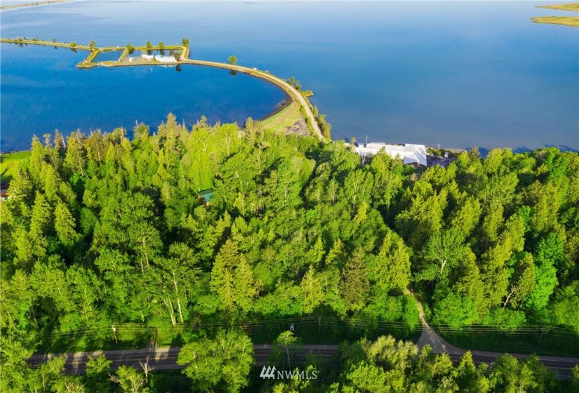 3791 Haxton, Bellingham, Washington 98226, ,Land,For Sale,Haxton,NWM1820921