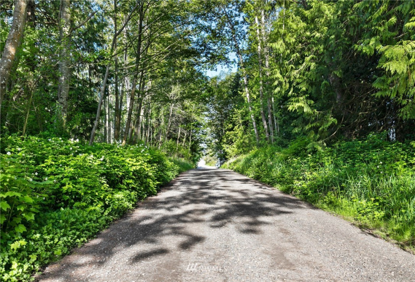 3791 Haxton, Bellingham, Washington 98226, ,Land,For Sale,Haxton,NWM1820921