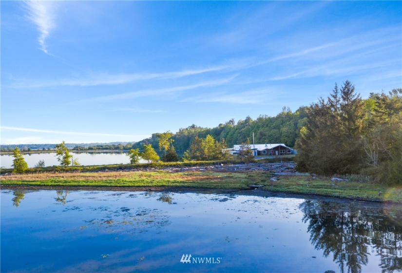 3791 Haxton, Bellingham, Washington 98226, ,Land,For Sale,Haxton,NWM1820921