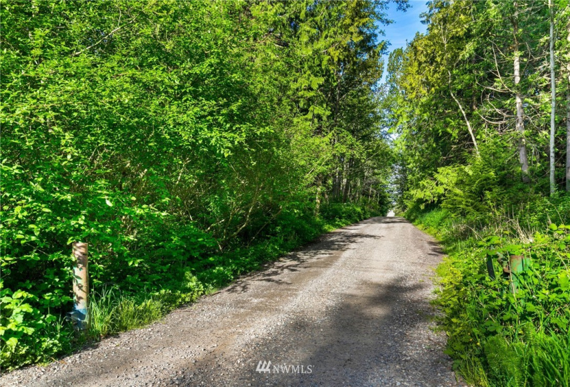 3791 Haxton, Bellingham, Washington 98226, ,Land,For Sale,Haxton,NWM1820921