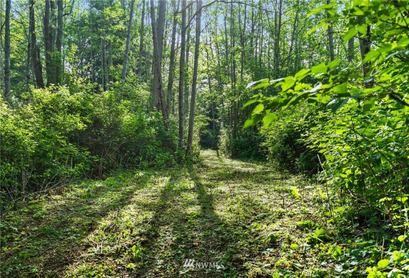 3791 Haxton, Bellingham, Washington 98226, ,Land,For Sale,Haxton,NWM1820921