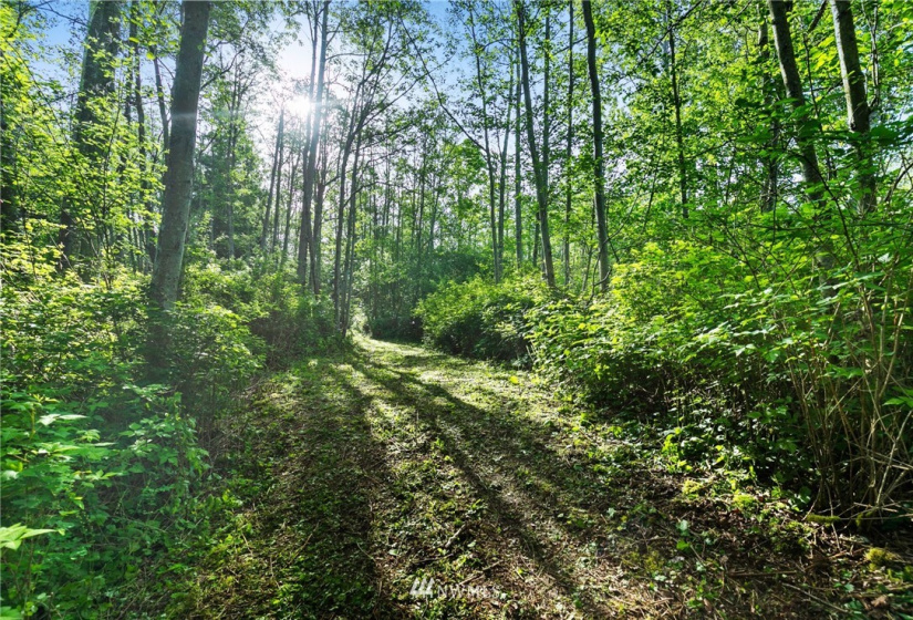 3791 Haxton, Bellingham, Washington 98226, ,Land,For Sale,Haxton,NWM1820921