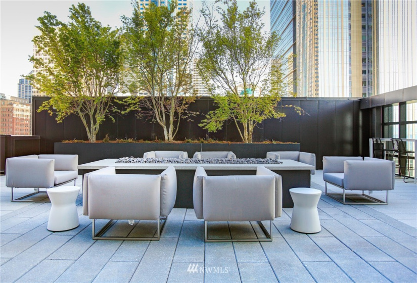 1430 2nd, Seattle, Washington 98101, 2 Bedrooms Bedrooms, ,2 BathroomsBathrooms,Residential Lease,For Rent,2nd,NWM1820536