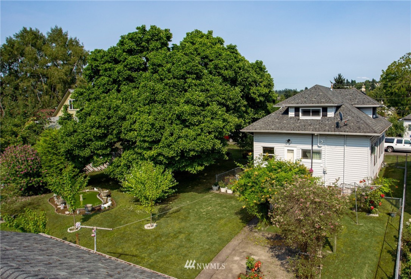 515 Morris, Renton, Washington 98059, ,Land,For Sale,Morris,NWM1821204