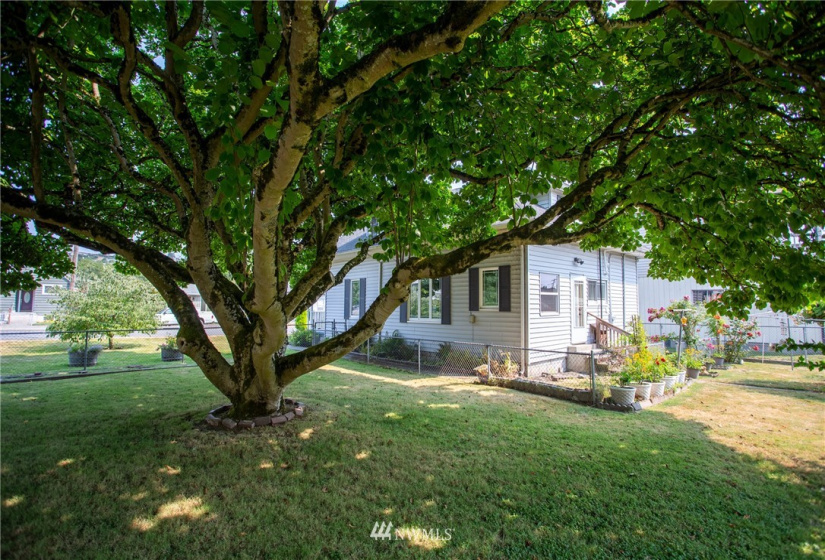 515 Morris, Renton, Washington 98059, ,Land,For Sale,Morris,NWM1821204