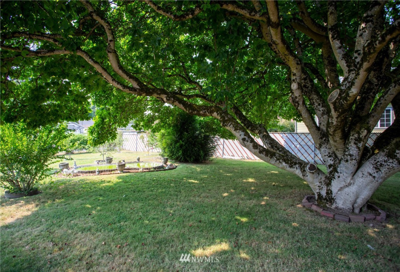 515 Morris, Renton, Washington 98059, ,Land,For Sale,Morris,NWM1821204