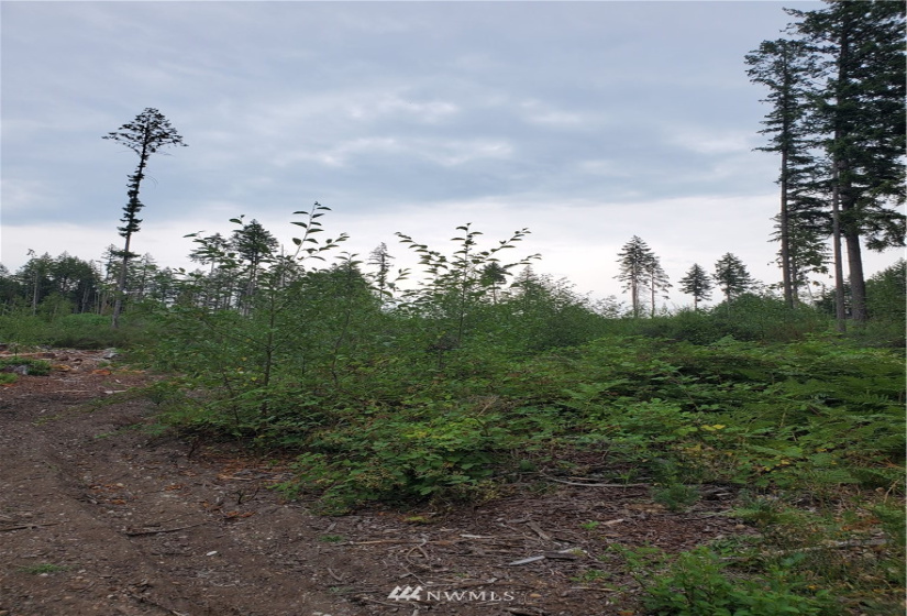 0 0000 Anderson Hill, Port Orchard, Washington 98367, ,Land,For Sale,0000 Anderson Hill,NWM1817187