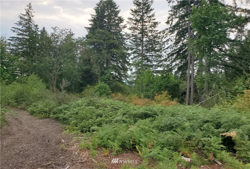 0 0000 Anderson Hill, Port Orchard, Washington 98367, ,Land,For Sale,0000 Anderson Hill,NWM1817187