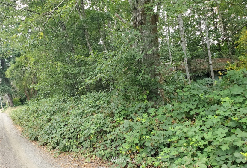 0 0000 Anderson Hill, Port Orchard, Washington 98367, ,Land,For Sale,0000 Anderson Hill,NWM1817187