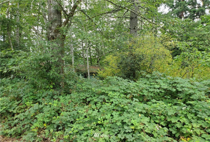 0 0000 Anderson Hill, Port Orchard, Washington 98367, ,Land,For Sale,0000 Anderson Hill,NWM1817187