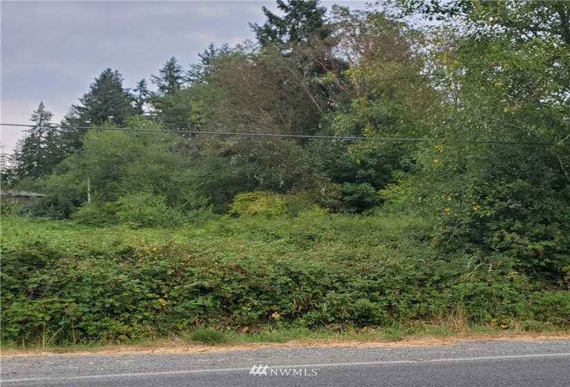 0 0000 Anderson Hill, Port Orchard, Washington 98367, ,Land,For Sale,0000 Anderson Hill,NWM1817187