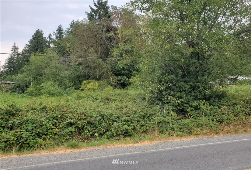 0 0000 Anderson Hill, Port Orchard, Washington 98367, ,Land,For Sale,0000 Anderson Hill,NWM1817187