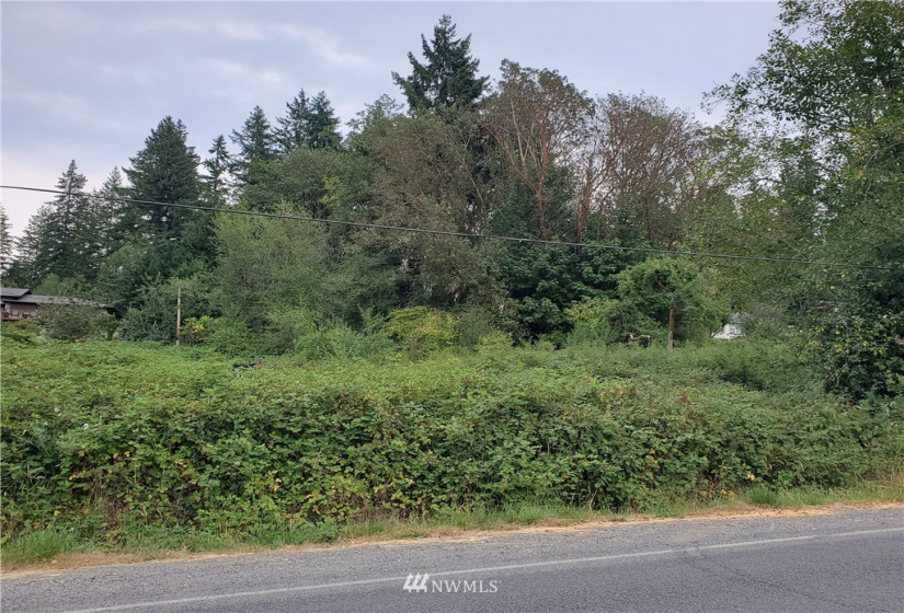 0 0000 Anderson Hill, Port Orchard, Washington 98367, ,Land,For Sale,0000 Anderson Hill,NWM1817187