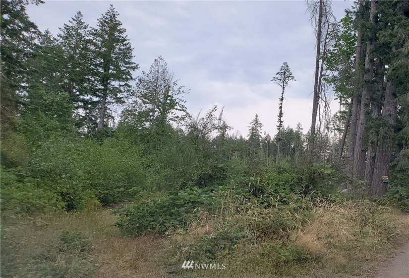 0 0000 Anderson Hill, Port Orchard, Washington 98367, ,Land,For Sale,0000 Anderson Hill,NWM1817187
